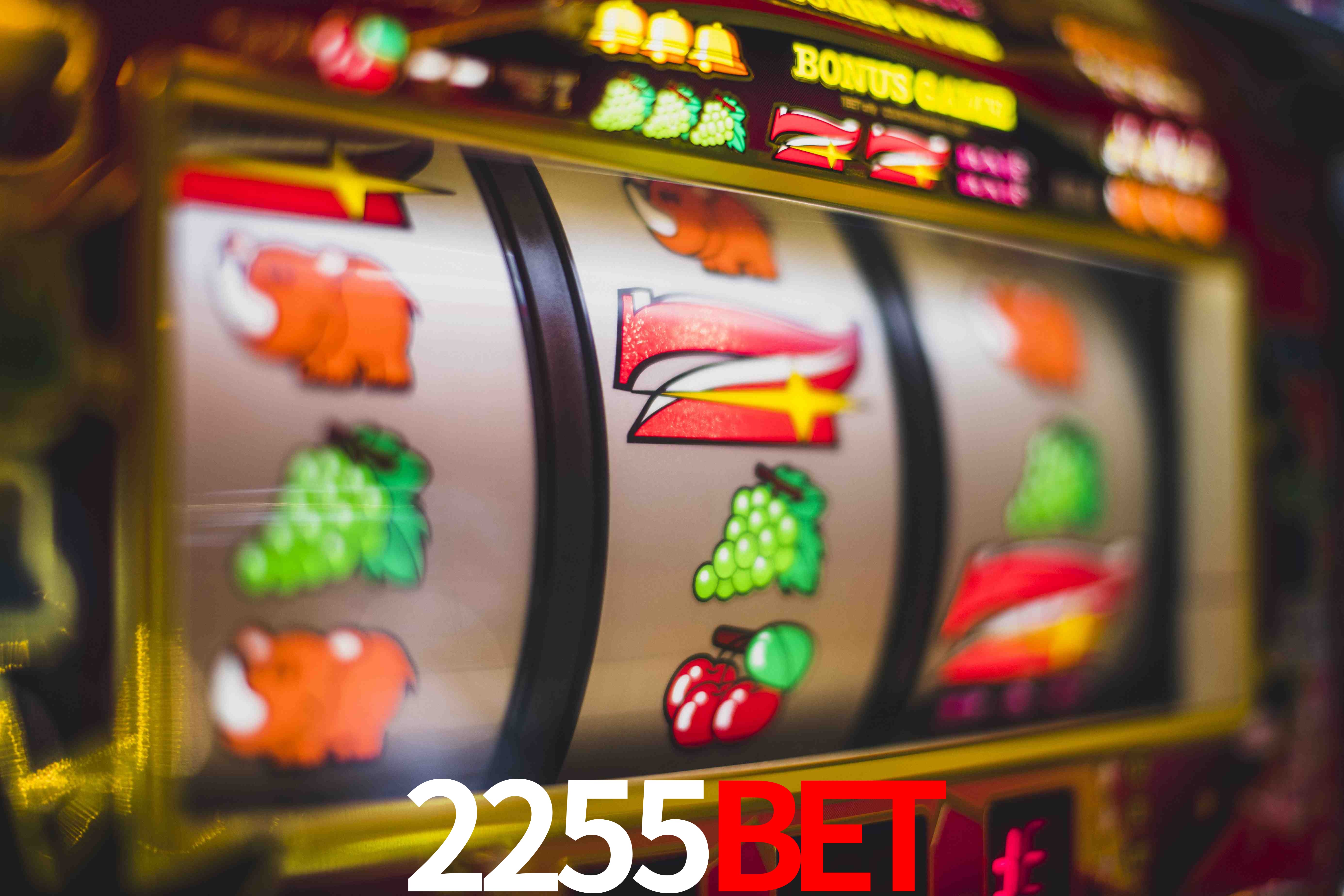 Football Betting 2255bet